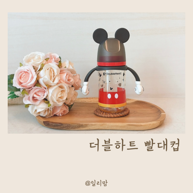아기빨대컵 사용시기 언제부터 더블하트 추빨대 추천