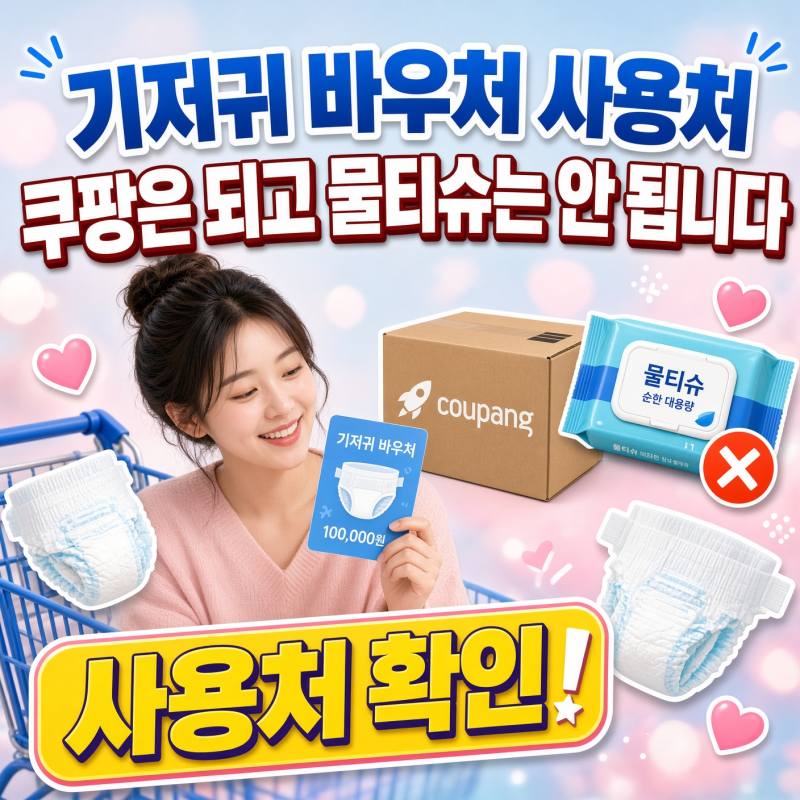 기저귀 바우처 사용처, 쿠팡은 되고 물티슈는 안 됩니다