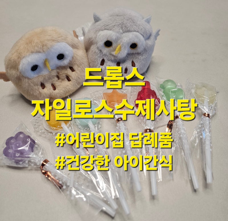 어린이집 답례품 추천 드롭스 자일로스수제사탕 아이간식으로 맘편히 줄 수 있는 저당캔디