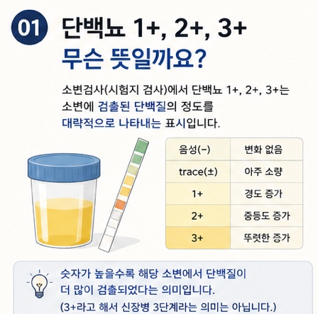 소변검사에서 단백뇨 1+, 2+, 3+는 무슨 뜻일까요?