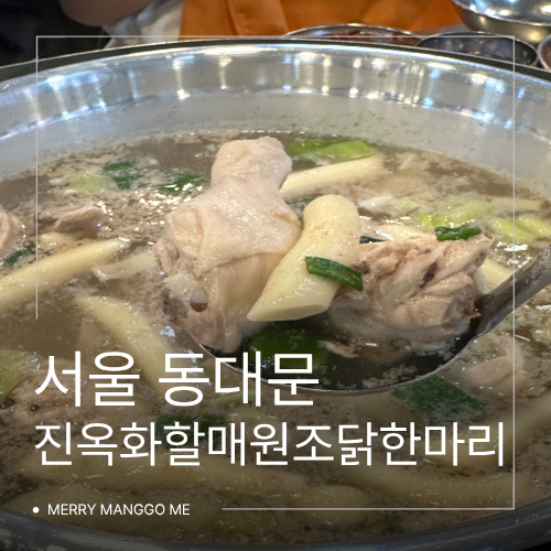 [서울 종로 맛집] 동대문 진옥화할매원조닭한마리, 서울 여행 코스 국물 찐맛집! (feat. 떡사리....
