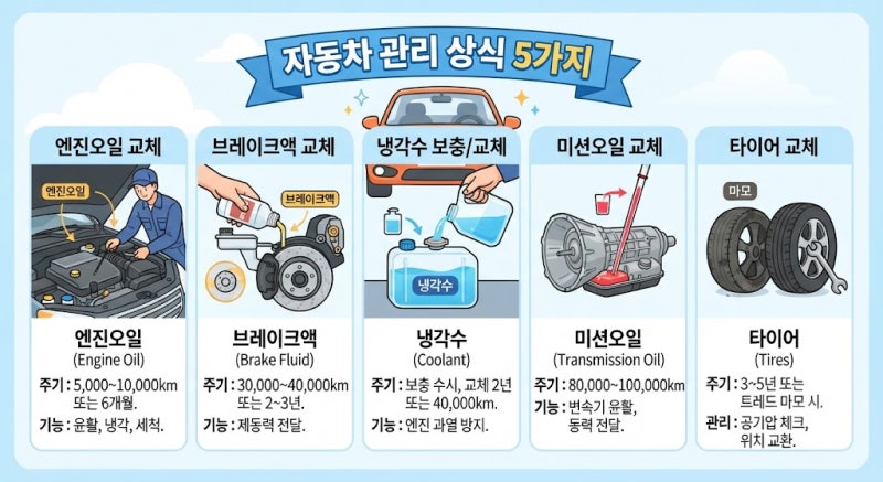 자동차 관리 상식 5가지(엔진오일, 브레이크액, 냉각수, 미션오일, 타이어 교체)