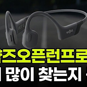 샥즈오픈런프로2 미니 차이 비교 정리