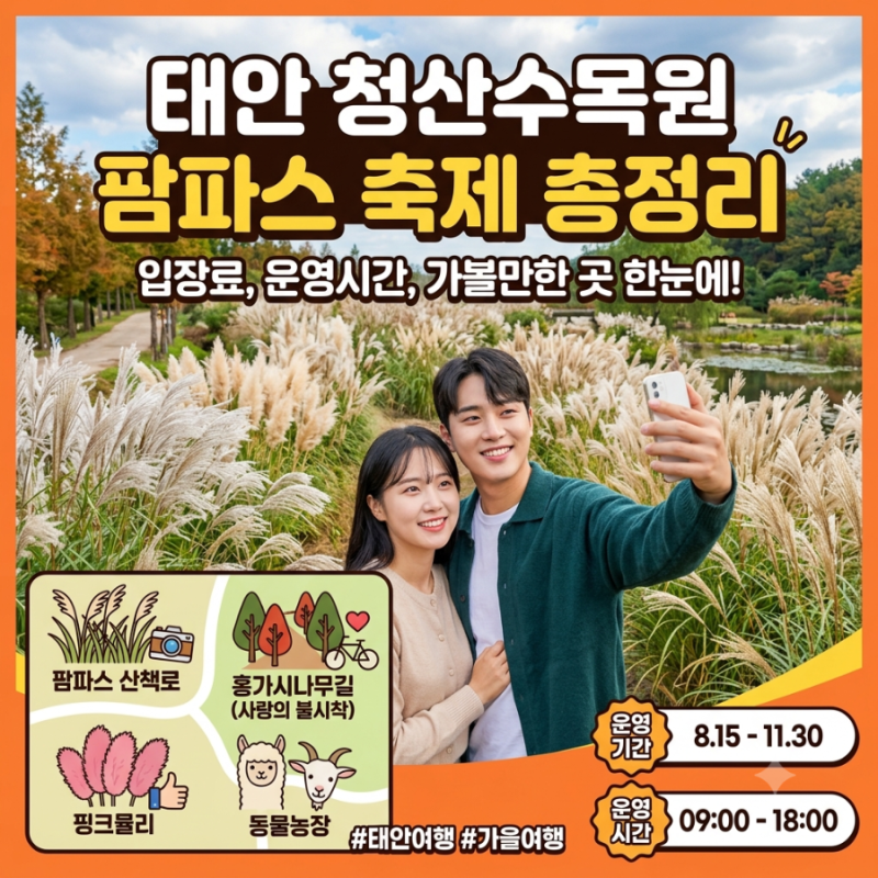태안 청산수목원 팜파스 축제 총정리 (입장료, 운영시간, 가볼만한 곳)
