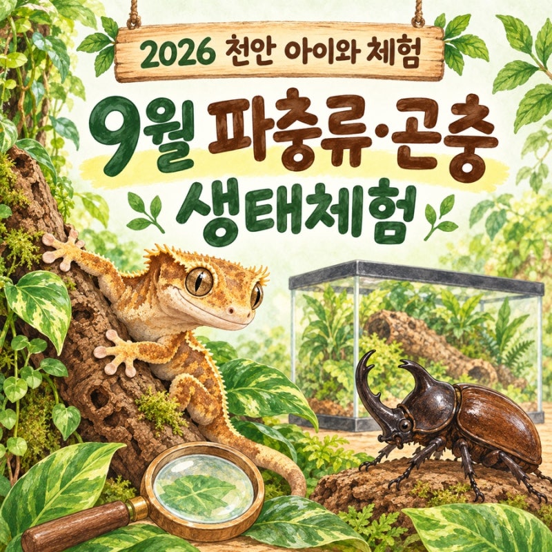 2026 천안 아이와 체험｜9월 파충류·곤충 생태체험·무료 프로그램 신청방법 (종료)