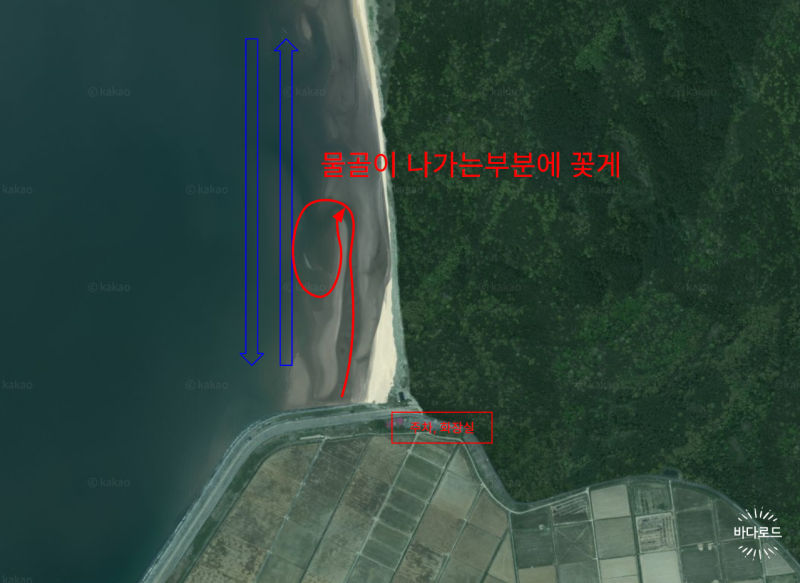 보령 장안해수욕장 해루질 총정리 : 독산보다 한적한 숨은 꽃게·할배소라 명당 (물골 공략법....