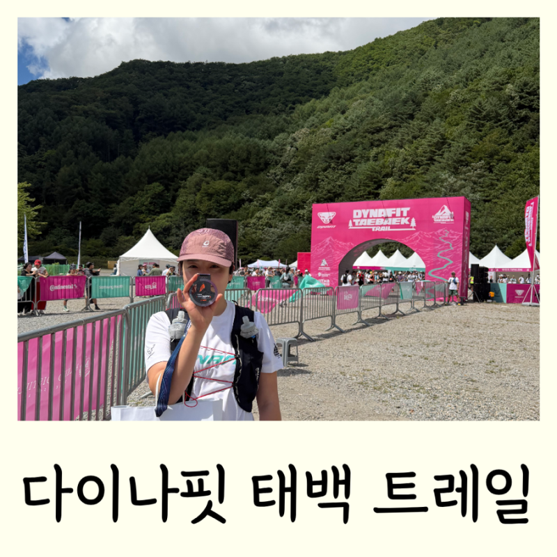 2026 다이나핏 태백 트레일 24k 후기 +황지동 숙소 맛집