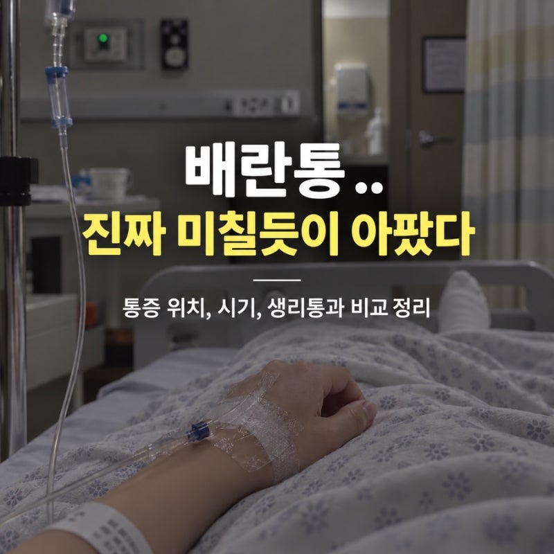 맹장염인 줄 알았는데 배란통이었다…｜위치·지속시간·생리통 차이