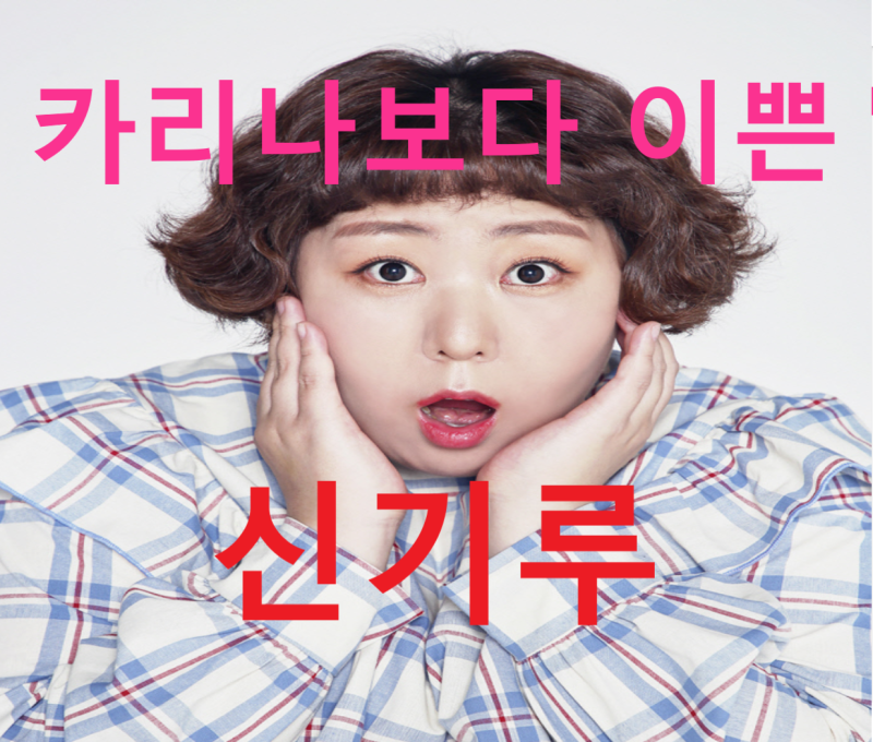 [사주풀이] 개그우먼 신기루 (을사일주, 사해충)