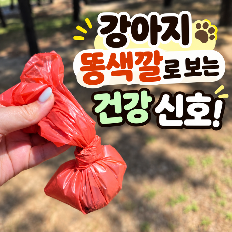 강아지 똥색깔 변색깔 비상? 검은똥, 초록색똥 원인