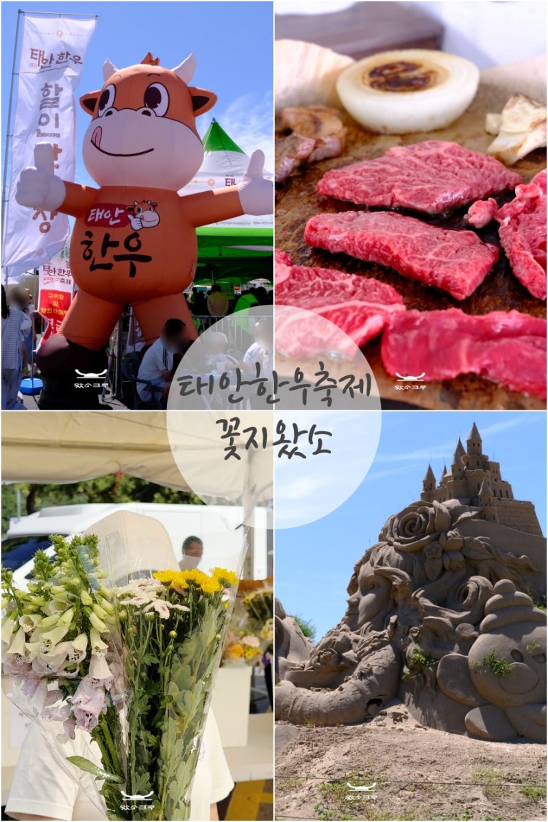 泰安韓牛節花地來了，花地海岸公園9月秋季慶典美食，泰安旅遊推薦