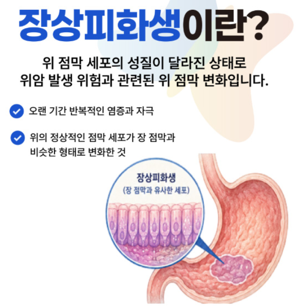 위축성위염과 장상피화생