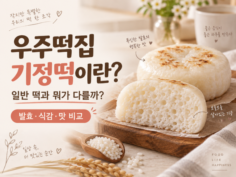 우주떡집 기정떡이란?｜일반 떡과 뭐가 다를까?
