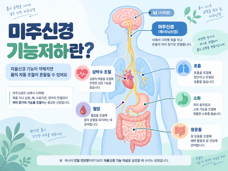 미주신경 기능저하｜증상·원인·검사·회복방법 총정리
