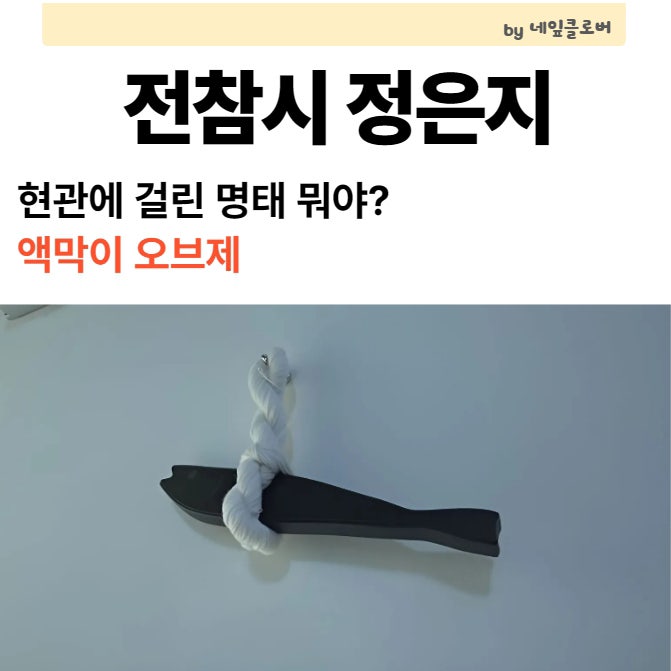 「全知的おせっかい視点」チョン・ウンジの作業室の玄関にかかっていたスケトウダラは何？オヌクの魔除けオブジェ