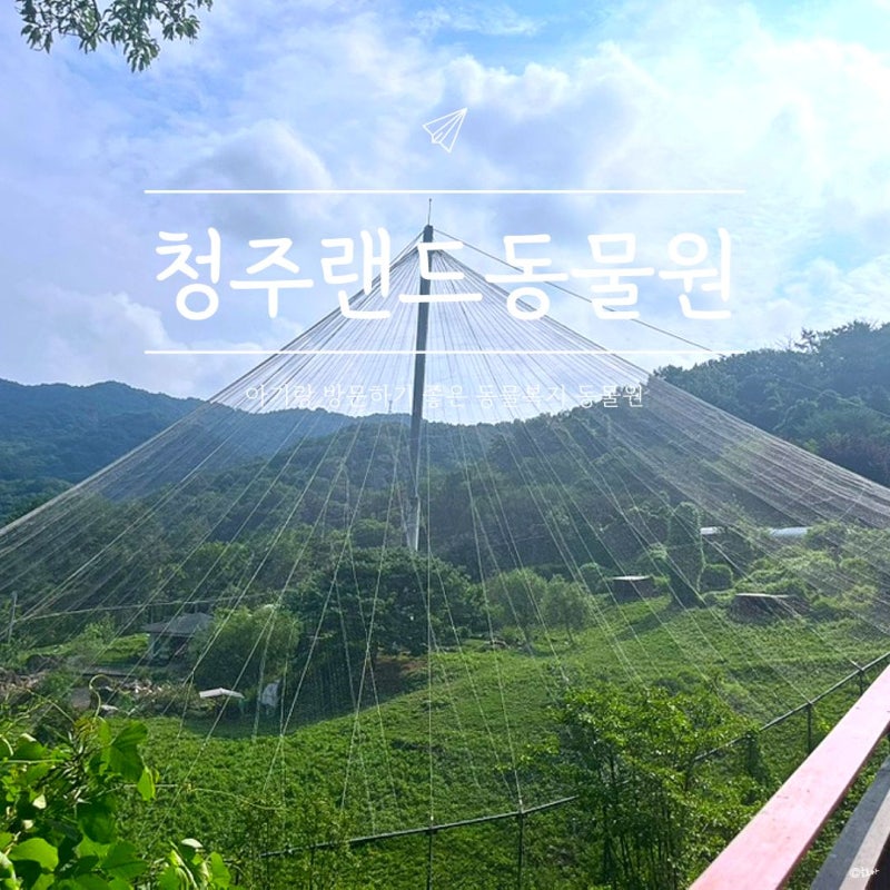 청주 가볼만한곳 아기랑 가기 좋은 '청주동물원' , 동물복지 동물원 관람 후기