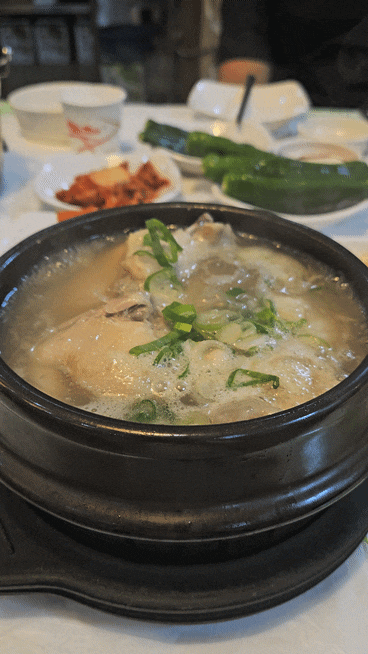 [궁중삼계탕] 안산 삼계탕 맛집, 몸보신 식사 후 포장 후기