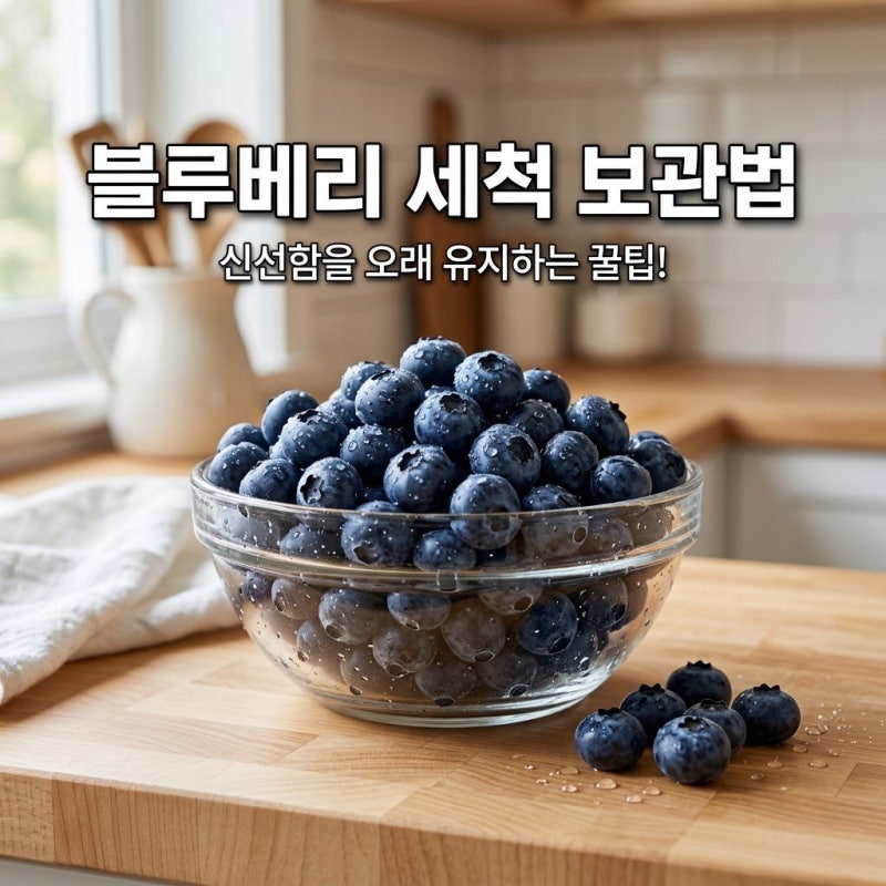 "블루베리 사 오자마자 물에 씻었더니…" 3일 만에 곰팡이 피는 진짜 이유