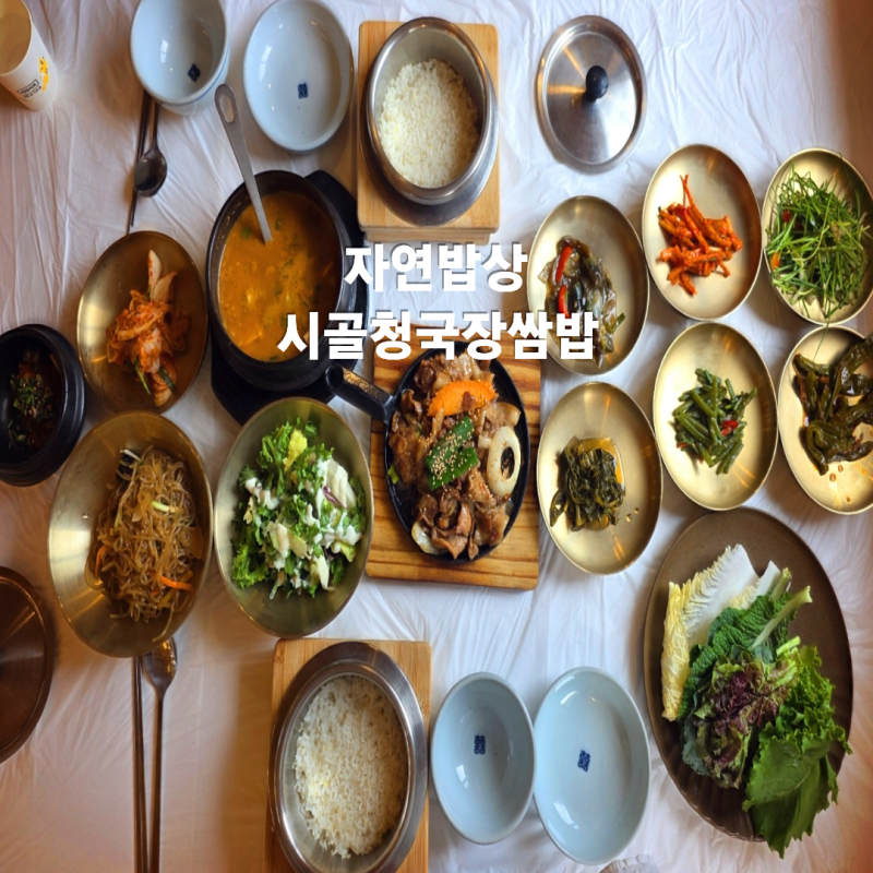 논산 탑정호 맛집 자연밥상｜구수한 시골청국장 쌈밥, 연꽃 풍경까지