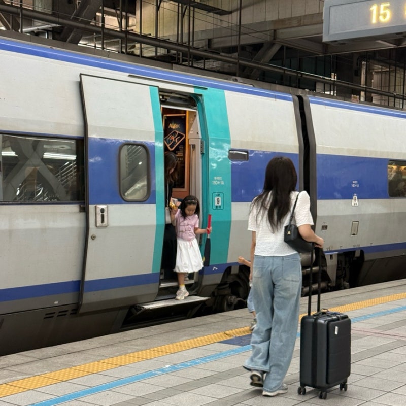 [2026 추석 기차표 예매 방법] ktx 일정•시간부터 실패 없는 꿀팁까지