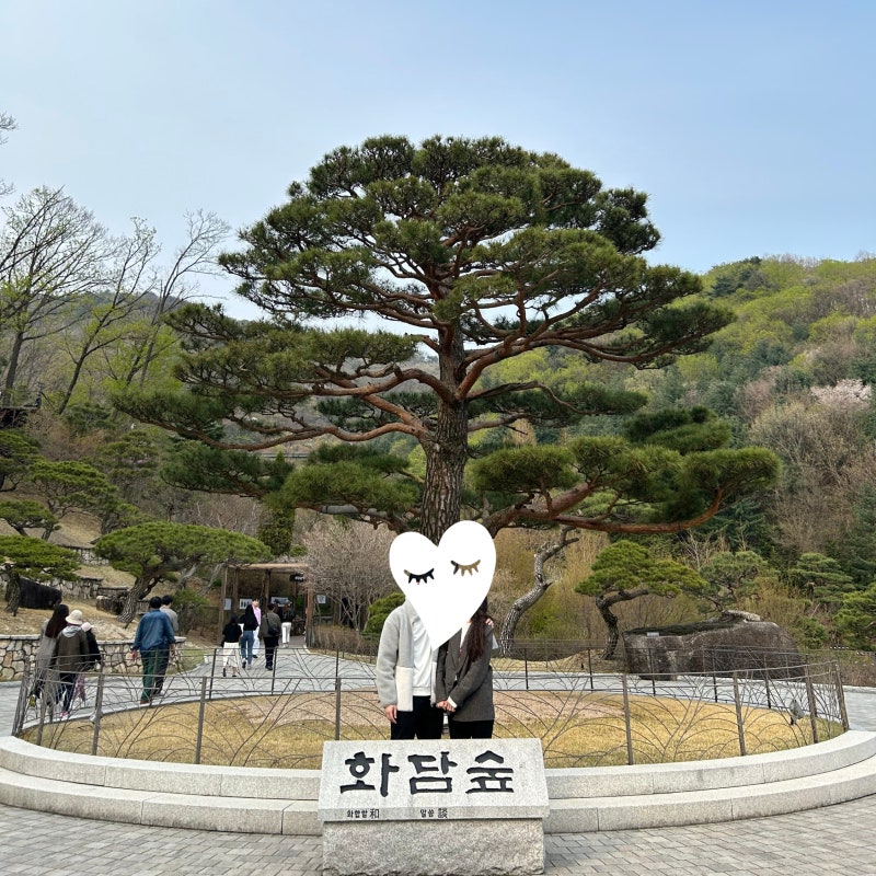 곤지암 화담숲 예약 가이드 | 가을 성수기 모노레일 탑승부터 요금까지 완벽 정리 (feat.예약 ....