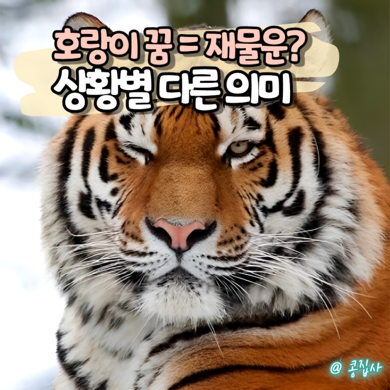 호랑이 꿈은 재물운? 상황별로 달라지는 꿈해몽 총정리