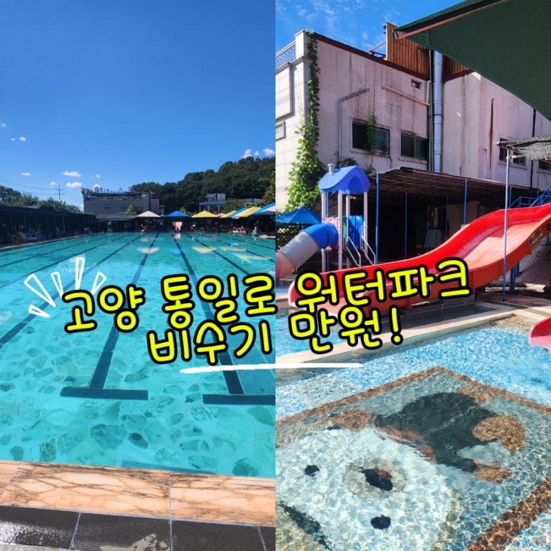 고양 통일로 워터파크 취사 가능 수영장 평상 가격 9월 입장료 만원?