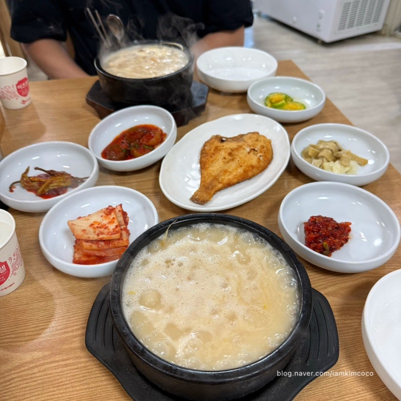 양양 맛집 감나무식당 주말 오픈런 웨이팅 후기 송이황태국밥 추천