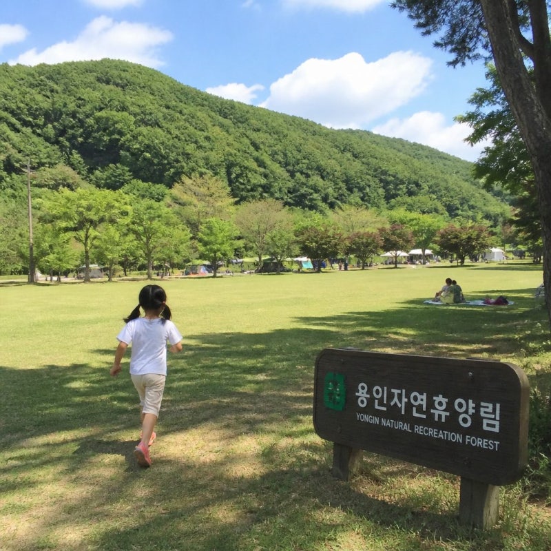 어른부터 아이까지 즐길 수 있는 푸릇푸릇함 [용인자연휴양림]