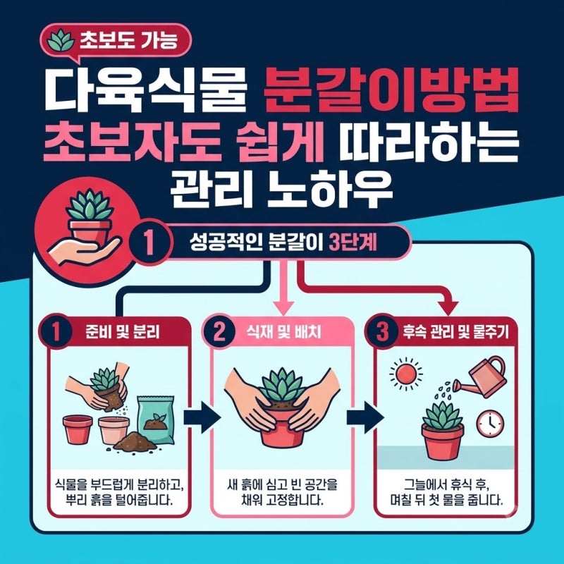 초보자 다육집사를 위한 다육식물 분갈이방법