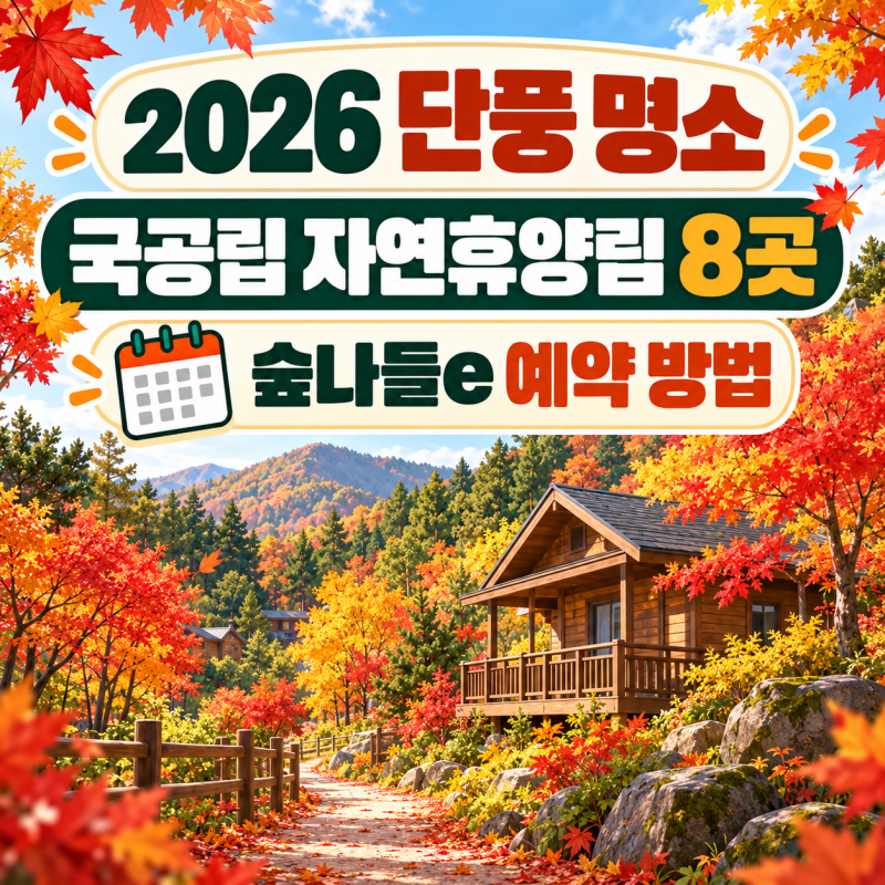 10월 단풍여행 가려면 지금 신청! 국립자연휴양림 추첨·공립 예약 방법