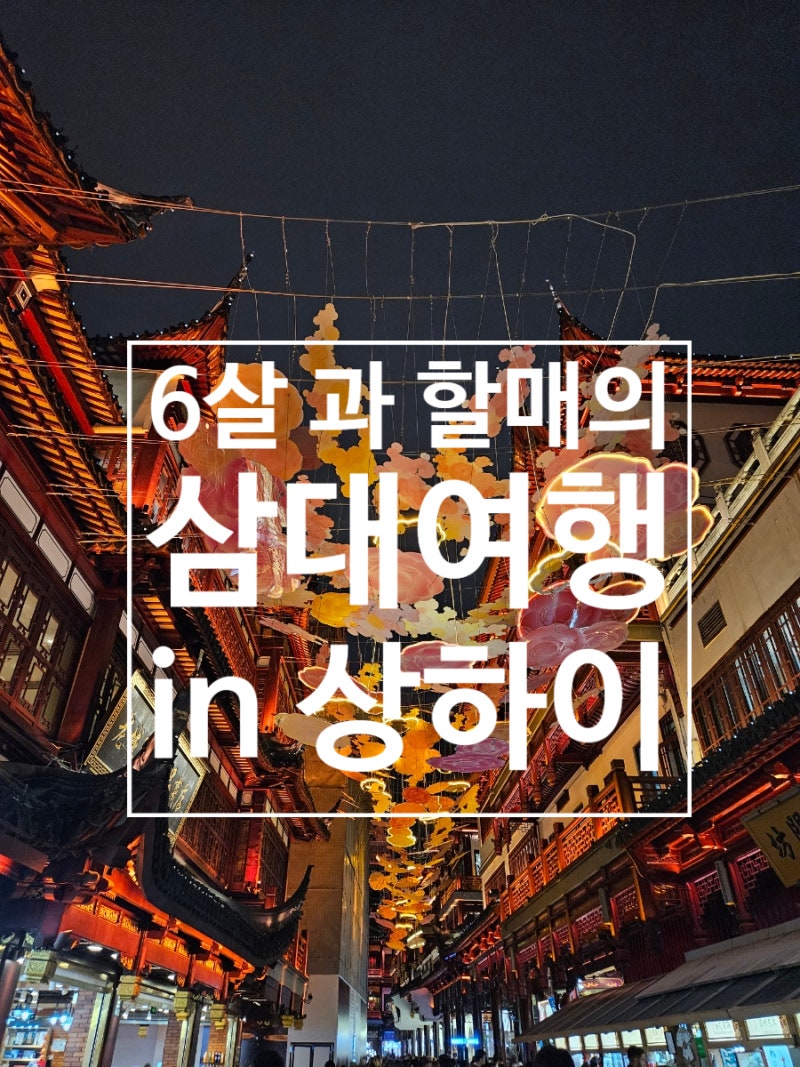 6살과 할매가 함께한 상하이 둘째날(신천지 점도덕,폭우,난징동루,헌지우이치엔 광음광장점,....