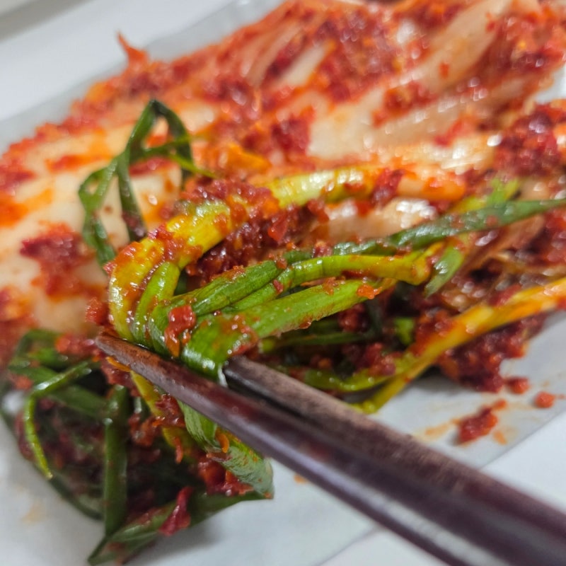 대구가 유명하다고? 줄 서는 서문시장 실비김치 (파김치, 배추김치)