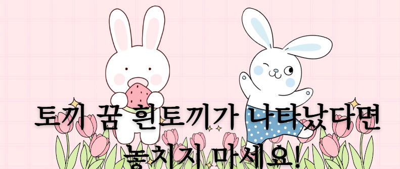 토끼 꿈 흰토끼가 나타났다면 놓치지 마세요!