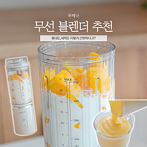 휴대용 무선 블렌더 추천 루메나 미니 핸드 블렌더