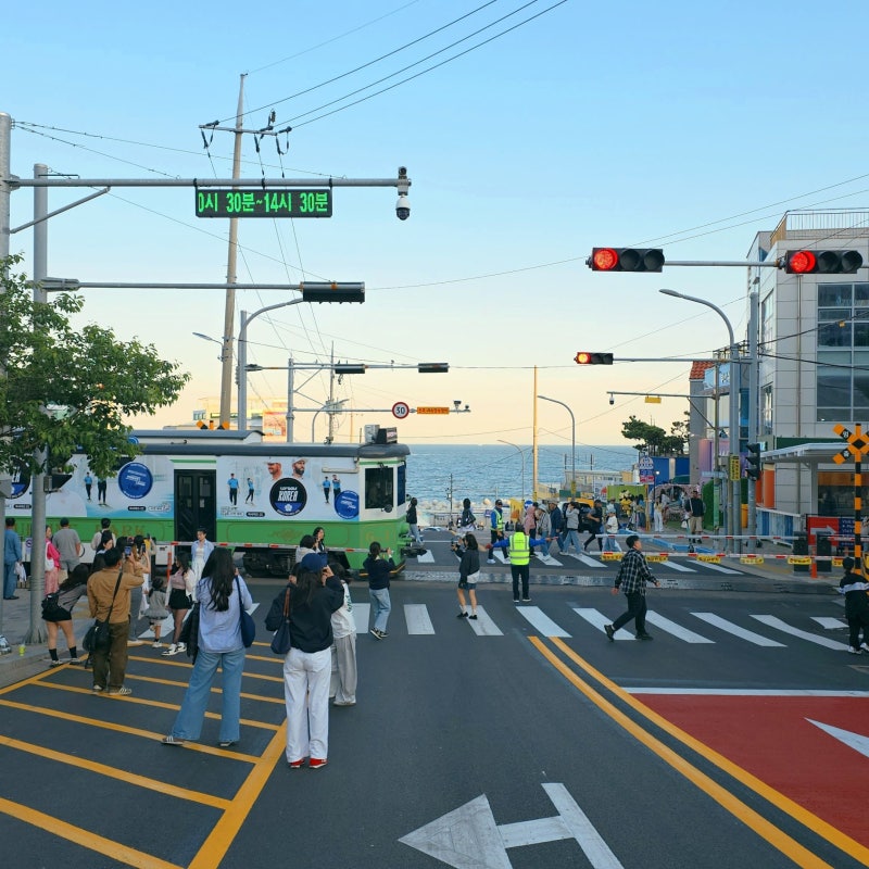 釜山旅行就是為了搭這個！天空艙海濱列車預約總整理