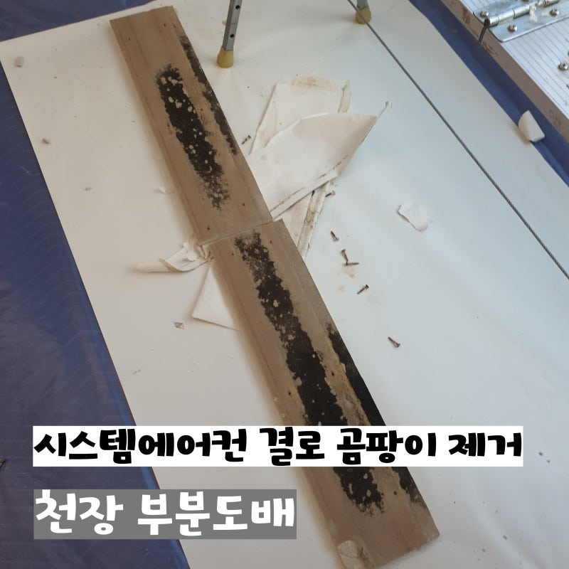 시스템에어컨 결로 곰팡이 제거｜천장 벽지 철거 후 약품처리·방지제 도포·부분도배