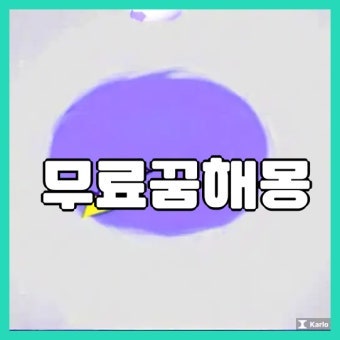 꿈해몽 무료사이트