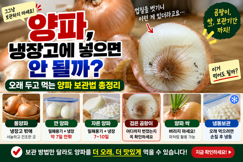 양파 냉장고에 넣으면 안 될까? 오래 두고 먹는 양파 보관법