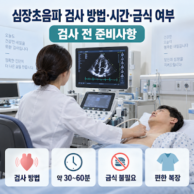심장초음파 검사 방법·시간·금식 여부 정리｜검사 전 준비사항은?