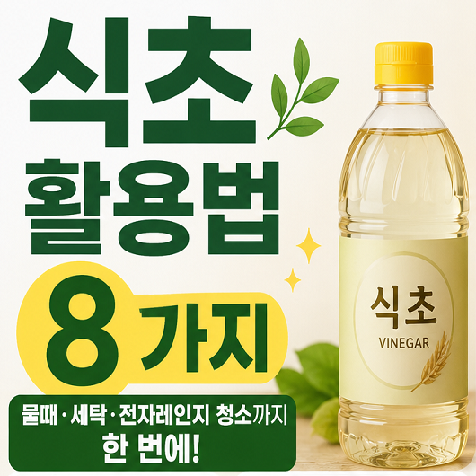 식초 활용법 8가지｜물때·세탁·전자레인지 청소까지 한 번에