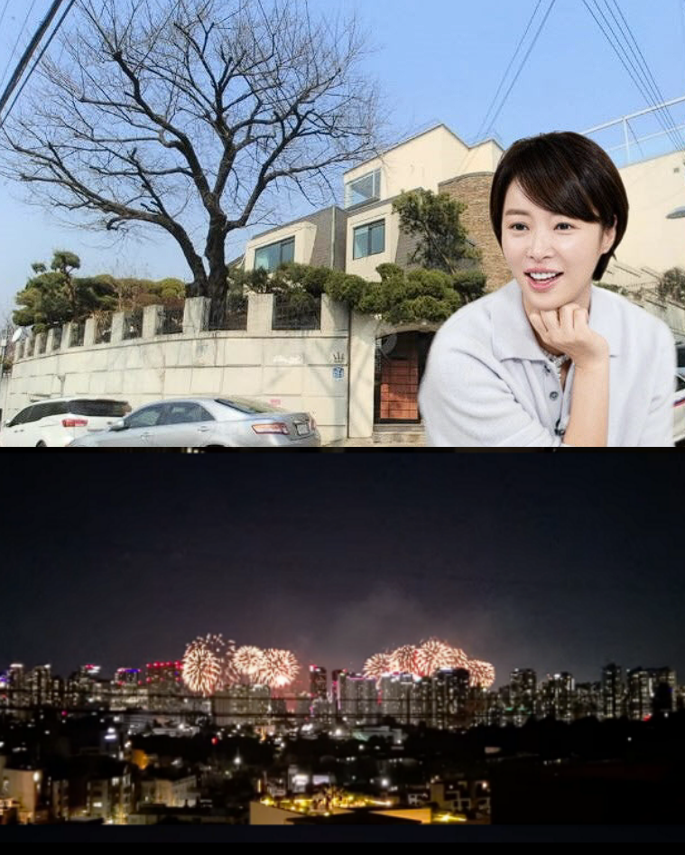 집 옥상에서 불꽃축제가 한눈에...황정음 ‘46억 한강뷰 집’ 어디길래