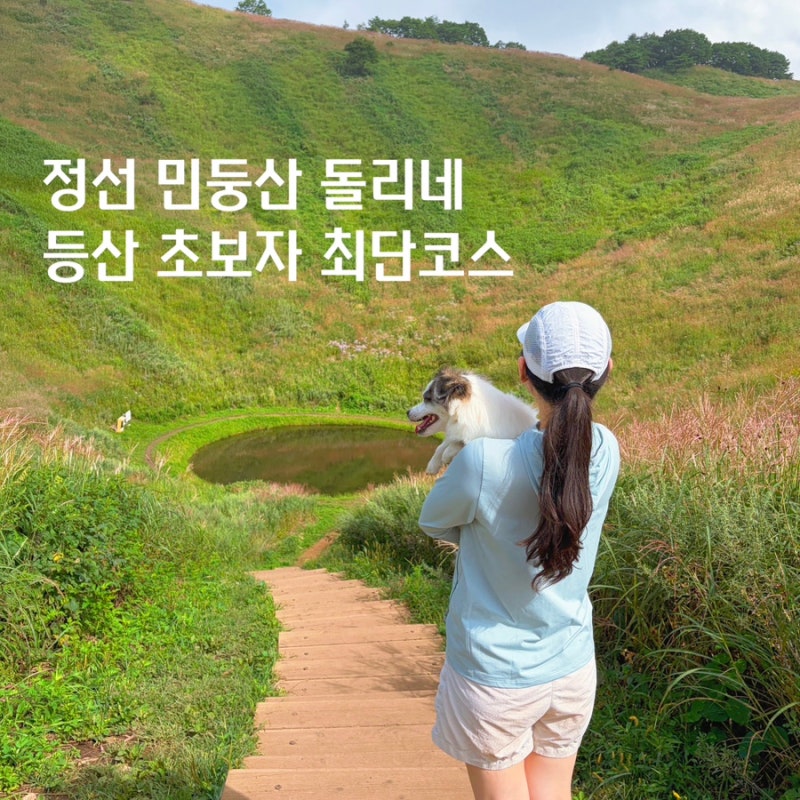 정선 민둥산 최단코스 돌리네 주말 주차 통제 피하는 꿀팁
