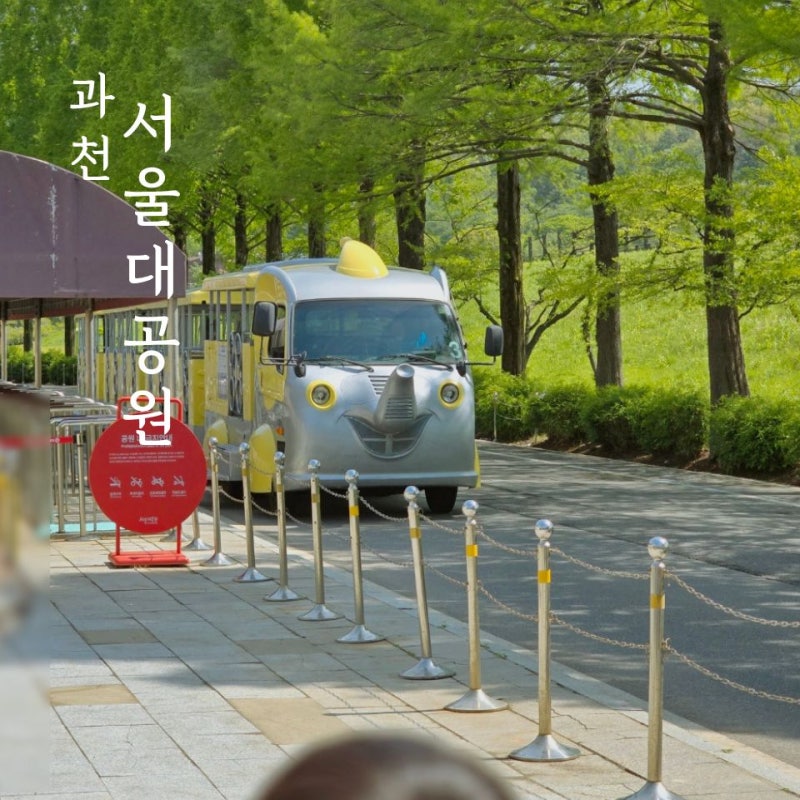 서울대공원 동물원 아기랑 다녀온 후기! 주차,입장료,코끼리열차 꿀팁