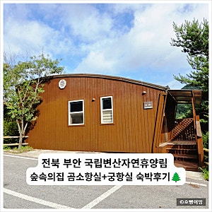 전북 부안 국립변산자연휴양림 숲속의집 5인실 곰소항 1박+궁항 1박 후기｜6개월 아기와 함께