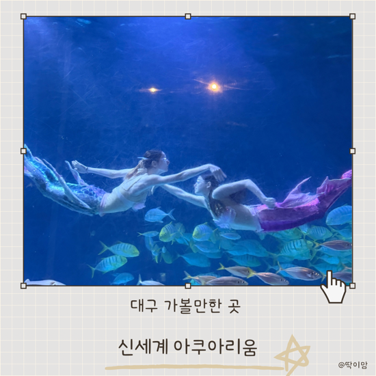 대구 실내 가볼만한곳 동대구 신세계 아쿠아리움 n번째 방문 관람 꿀팁 스케줄표 공유