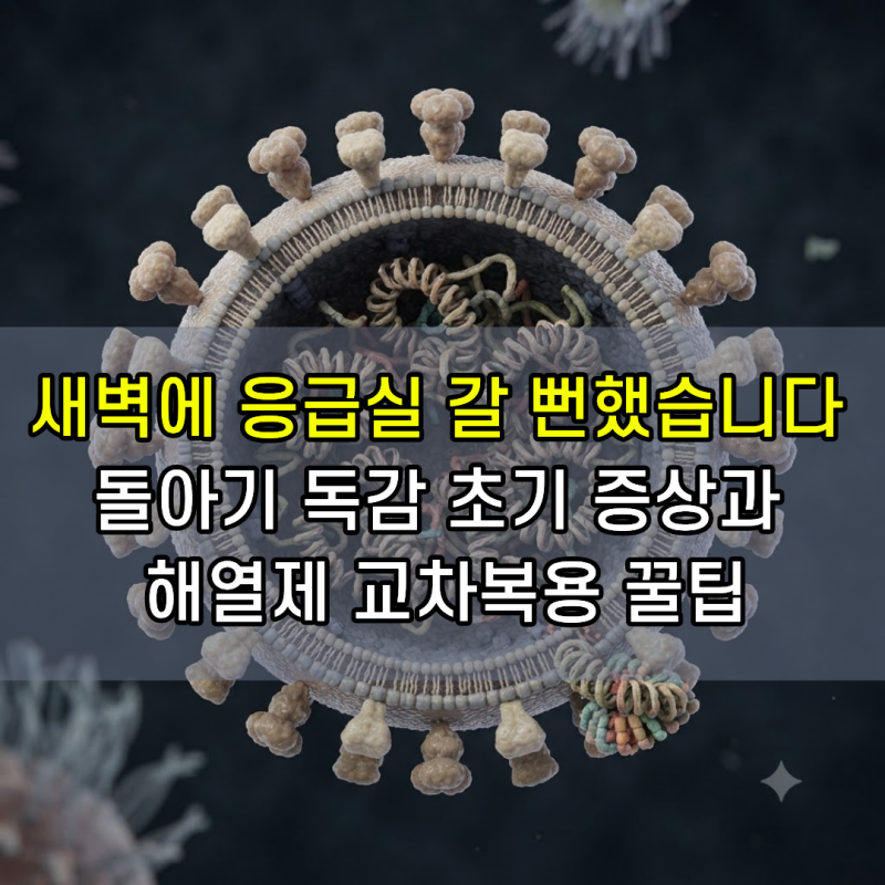 돌아기 독감 증상부터 예방접종 시기, 열날 때 대처법 및 입원 준비물 총정리