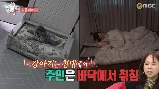 소녀시대 숙소 50평 혼자 독차지하는 효연, 이모님이 해준 폭로가 왜 이렇게 웃기냐