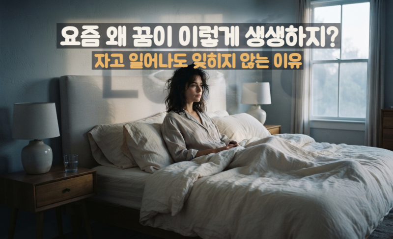 꿈을 많이 꾸는 이유｜잠을 자도 꿈이 생생한 이유와 수면 관계