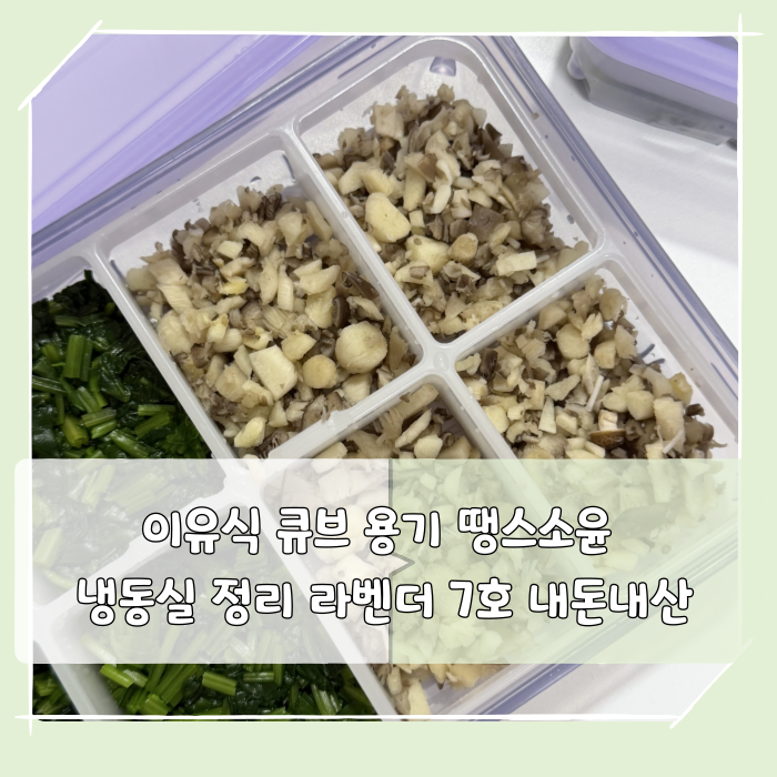 이유식 큐브 용기 땡스소윤 / 냉동실 정리 라벤더 7호 내돈내산